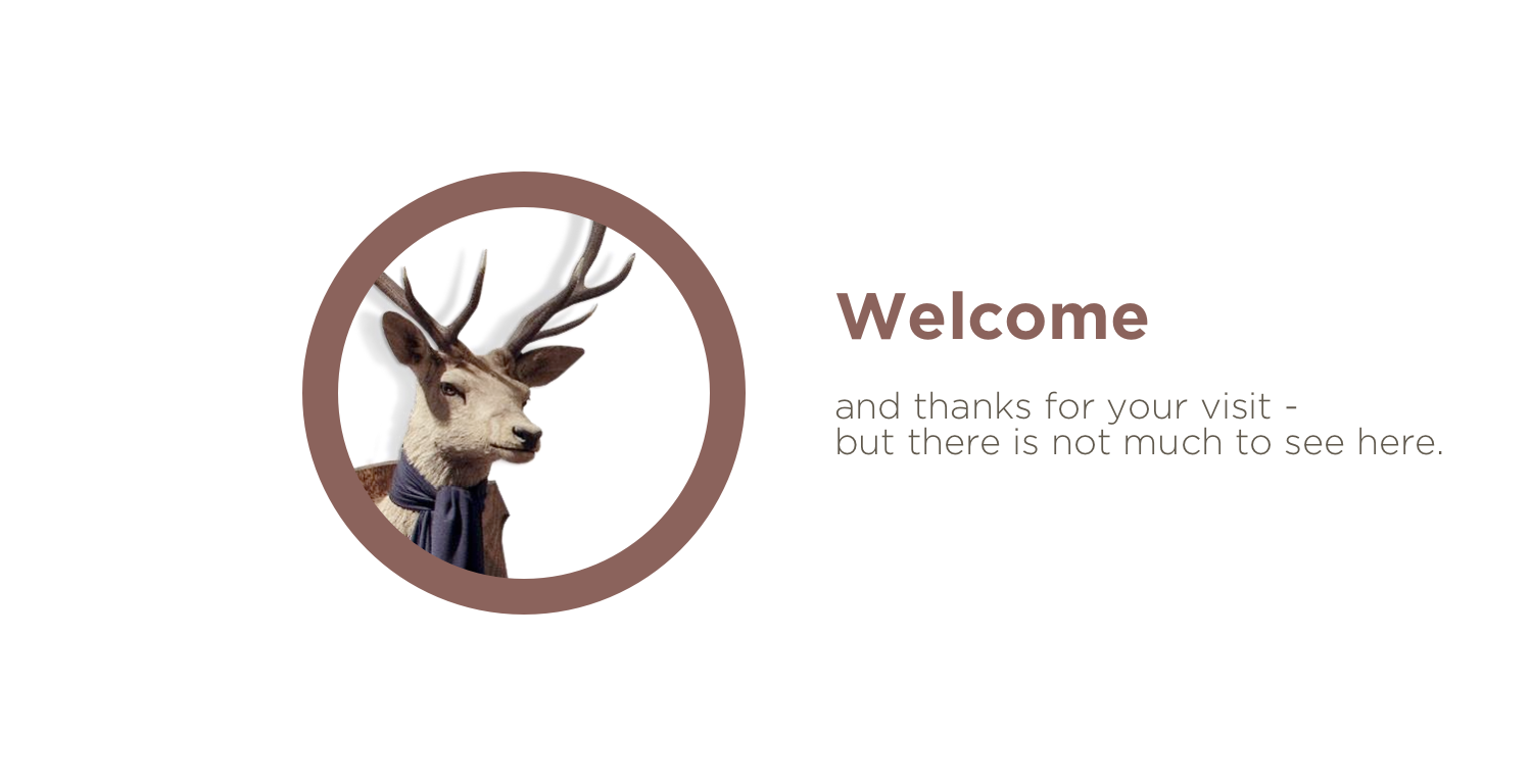 Deer visitor...
